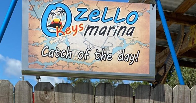 Bait & Tackle  Ozello Keys Marina