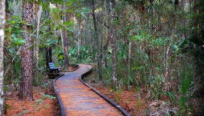  Crystal River Hike