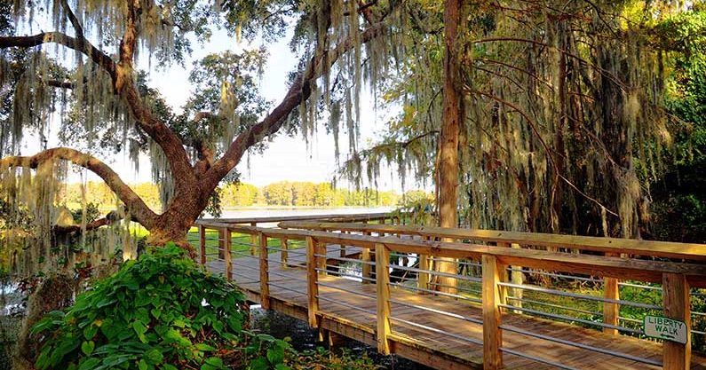 Liberty Trail Boardwalk | Discover Crystal River