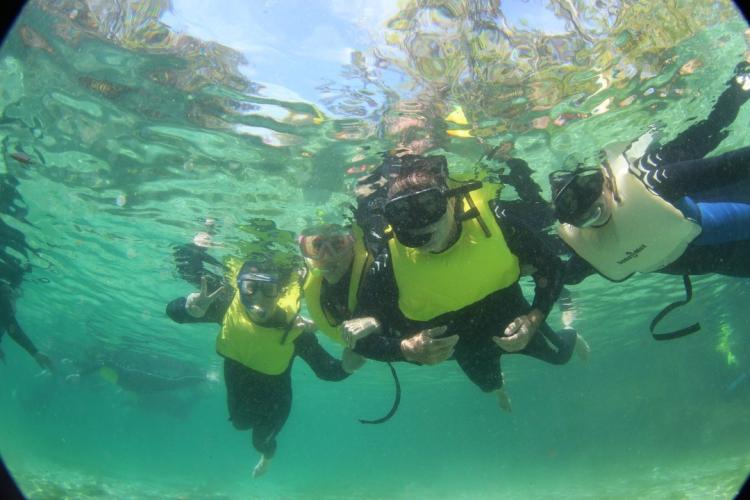 Scuba diving family expects to find more strange stuff during