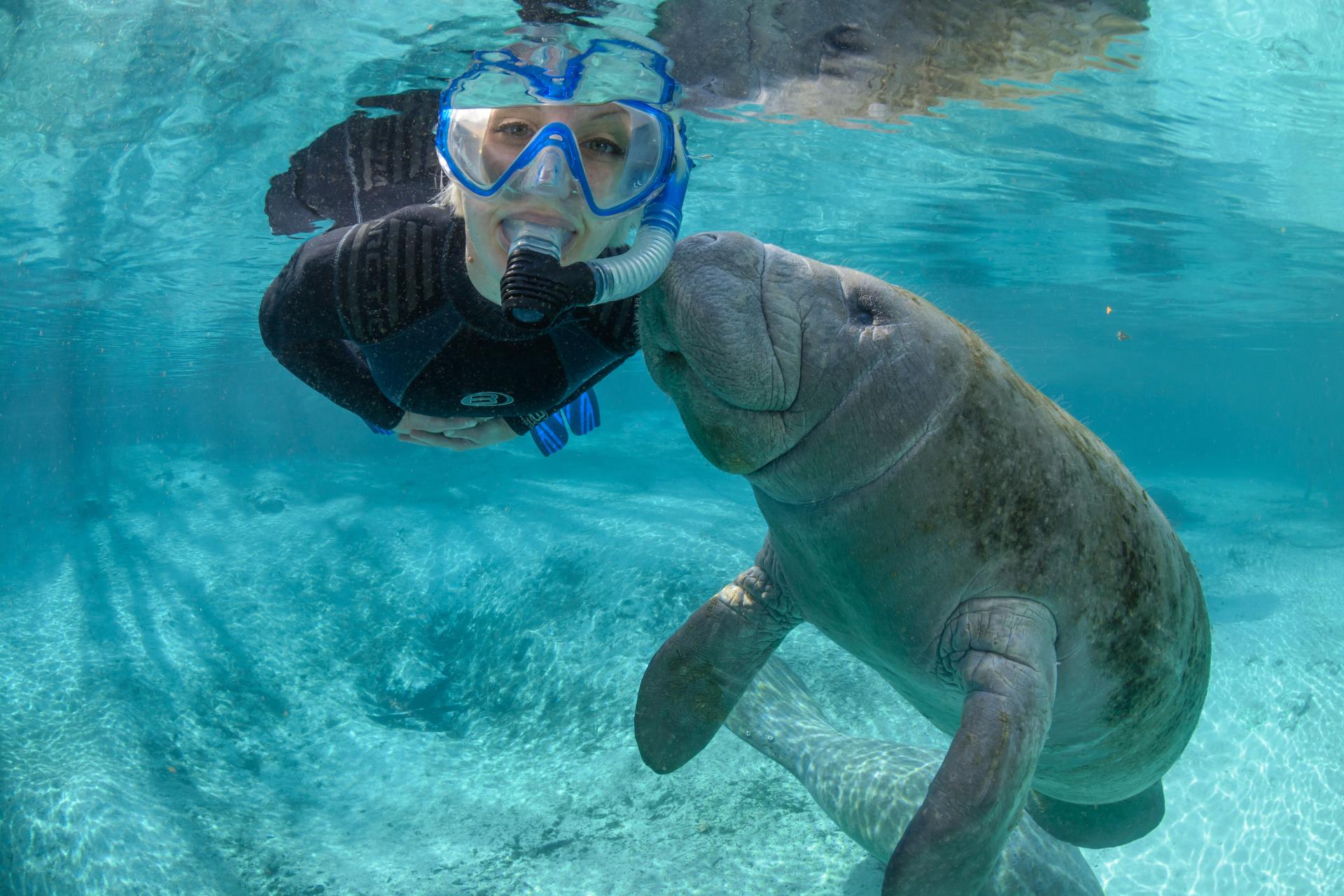 My Guide to Booking the Best Manatee Tours in Crystal River, Florida