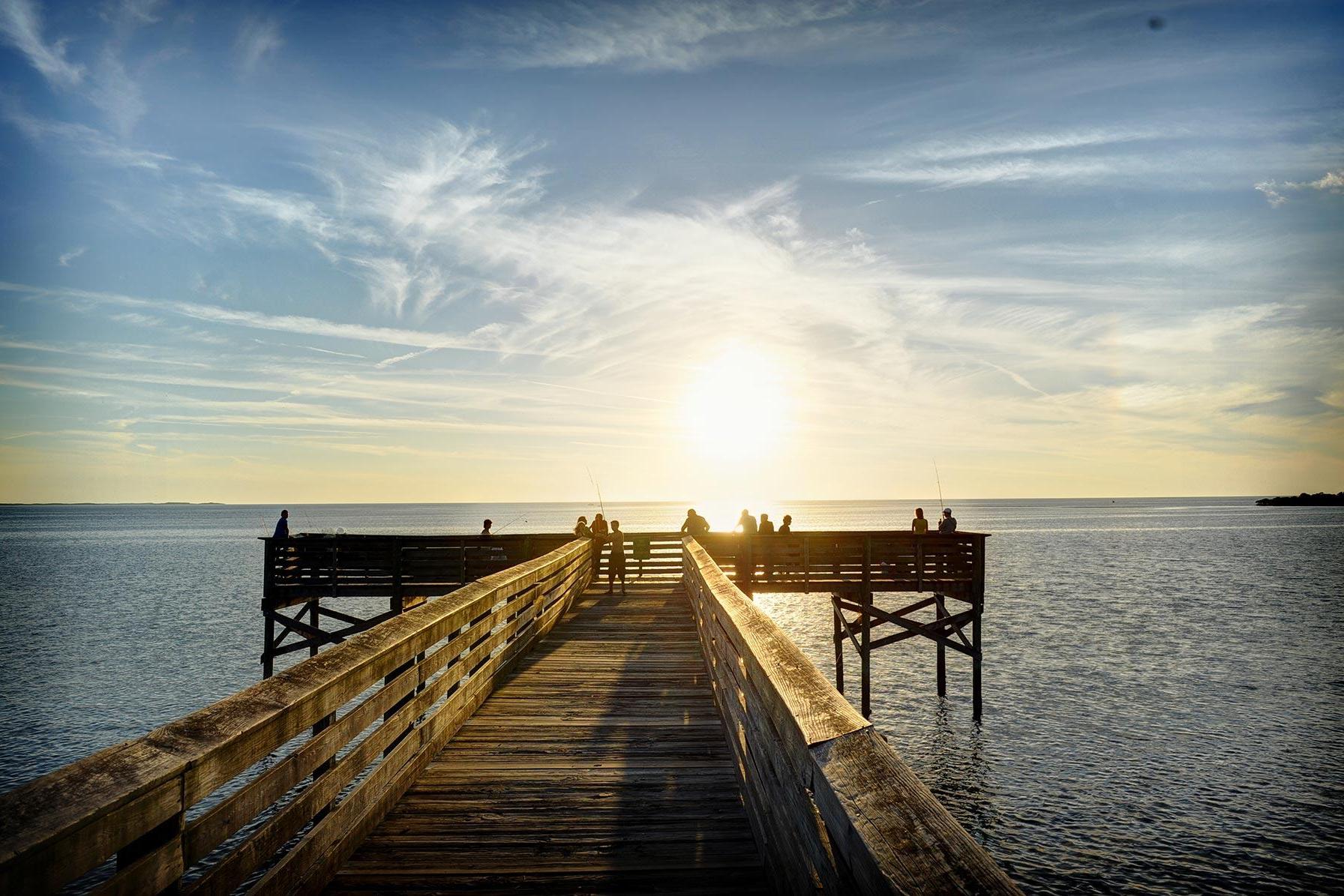 A Guide to Seeing Manatees in Crystal River, FL