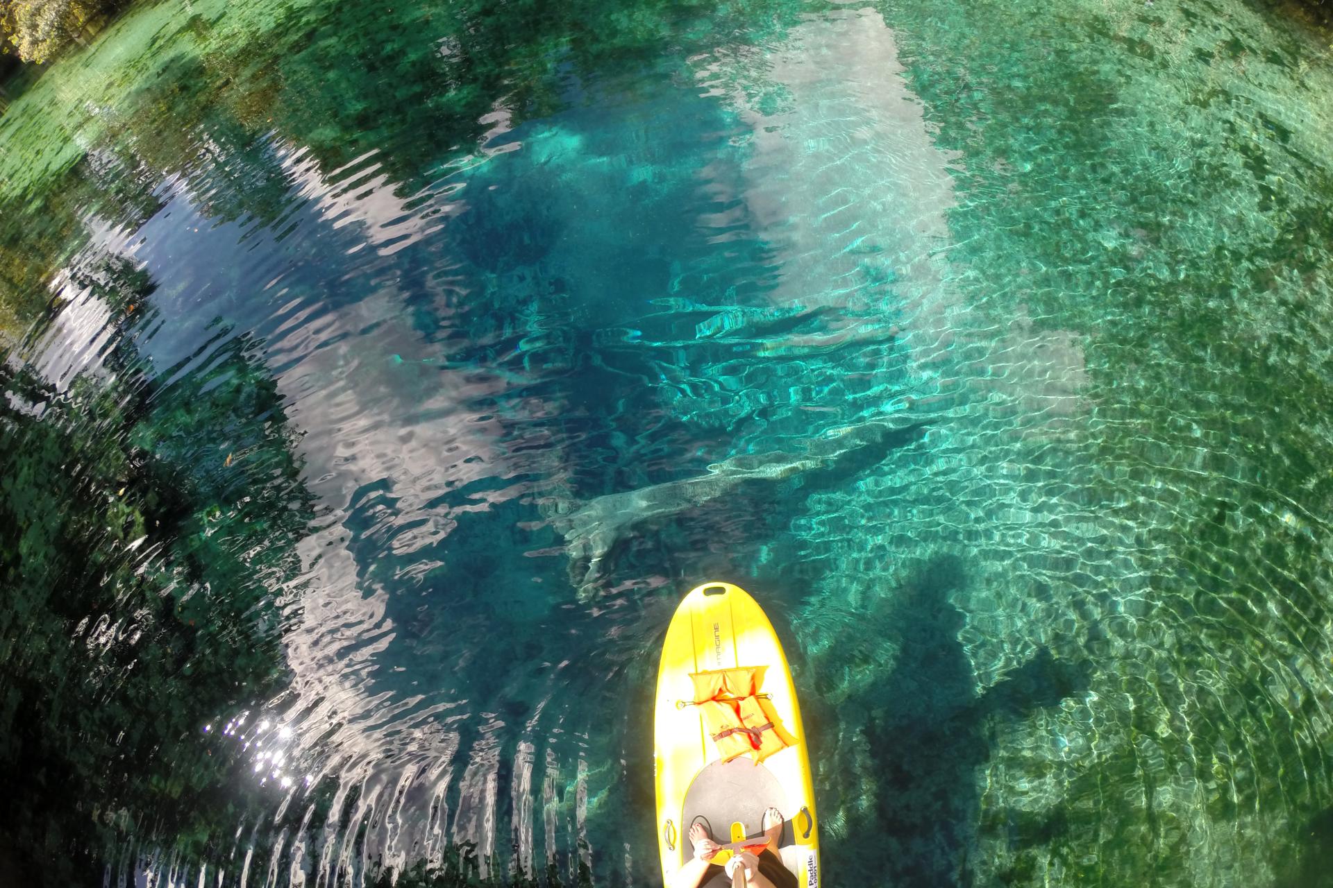 Get Up And Go Kayaking - Crystal River